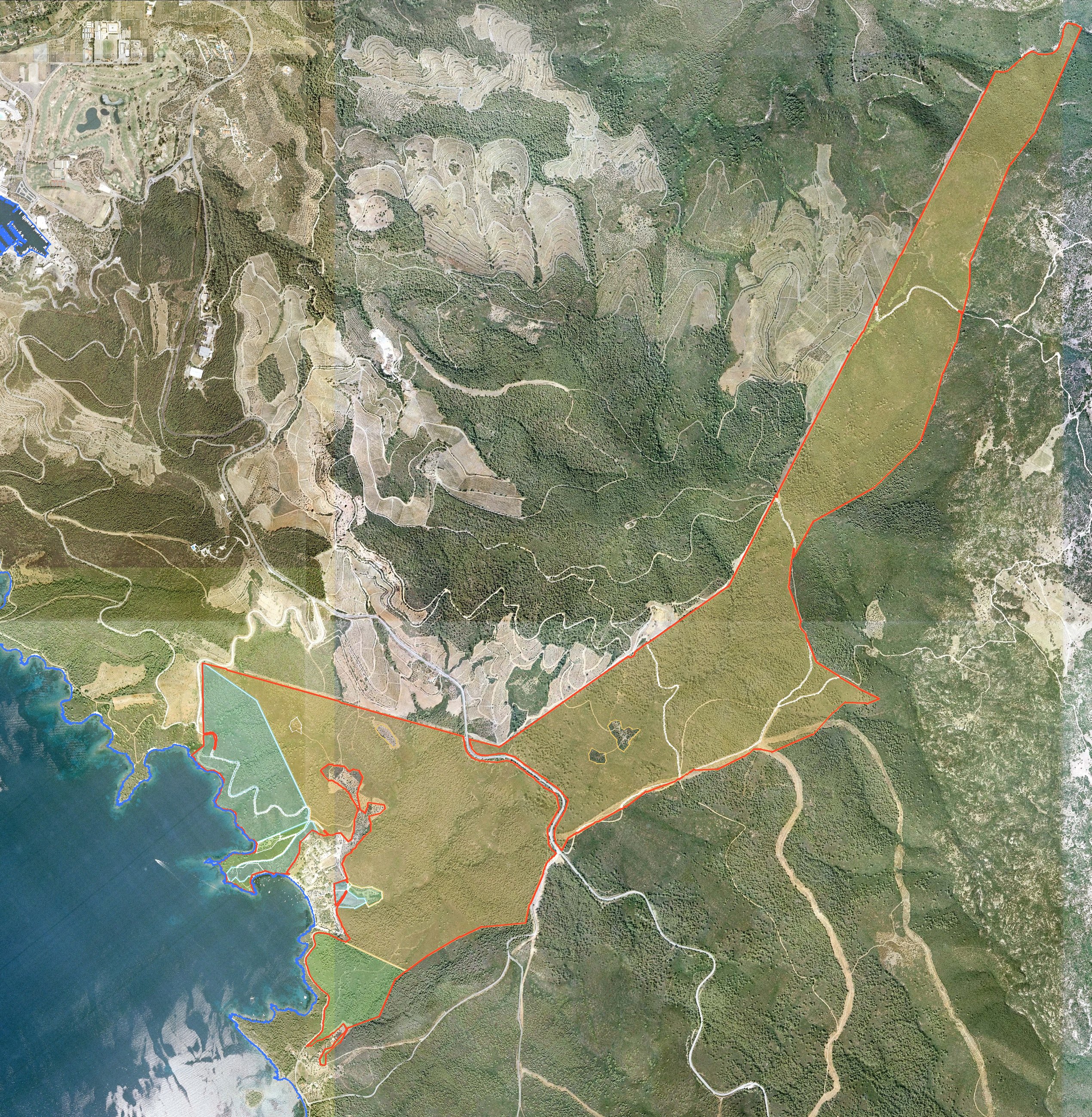 Topographic plan of the estate on the 2026 orthophoto, with parcels coloured by owning company